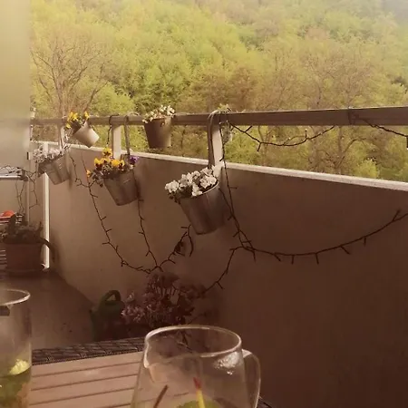 Апартаменты Urlaub Mit Sauna Und Pool Ist Cool! Бад-Гарцбург