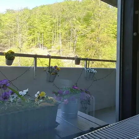 Urlaub Mit Sauna Und Pool Ist Cool! *