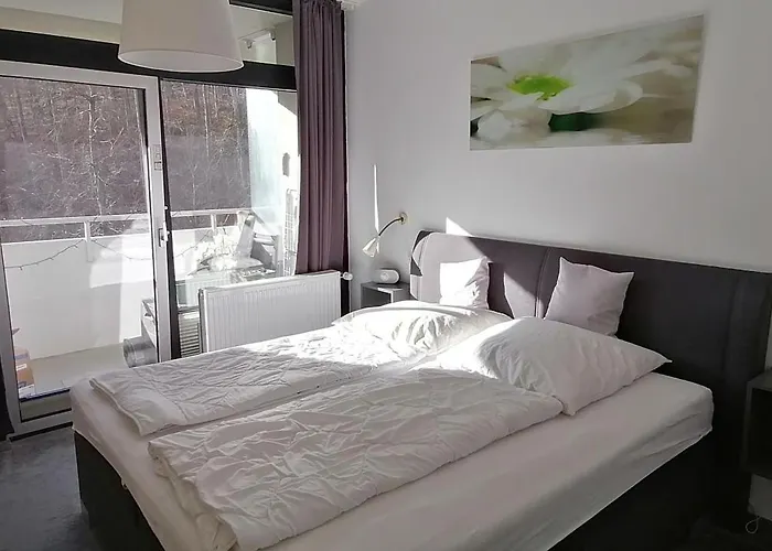 Urlaub Mit Sauna Und Pool Ist Cool! Bad Harzburg