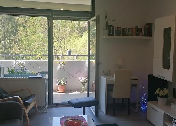 Urlaub Mit Sauna Und Pool Ist Cool! Bad Harzburg