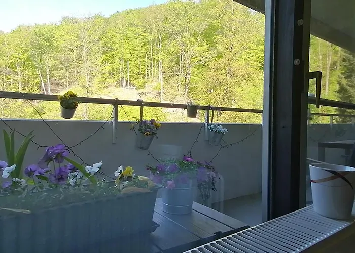 Urlaub Mit Sauna Und Pool Ist Cool! *